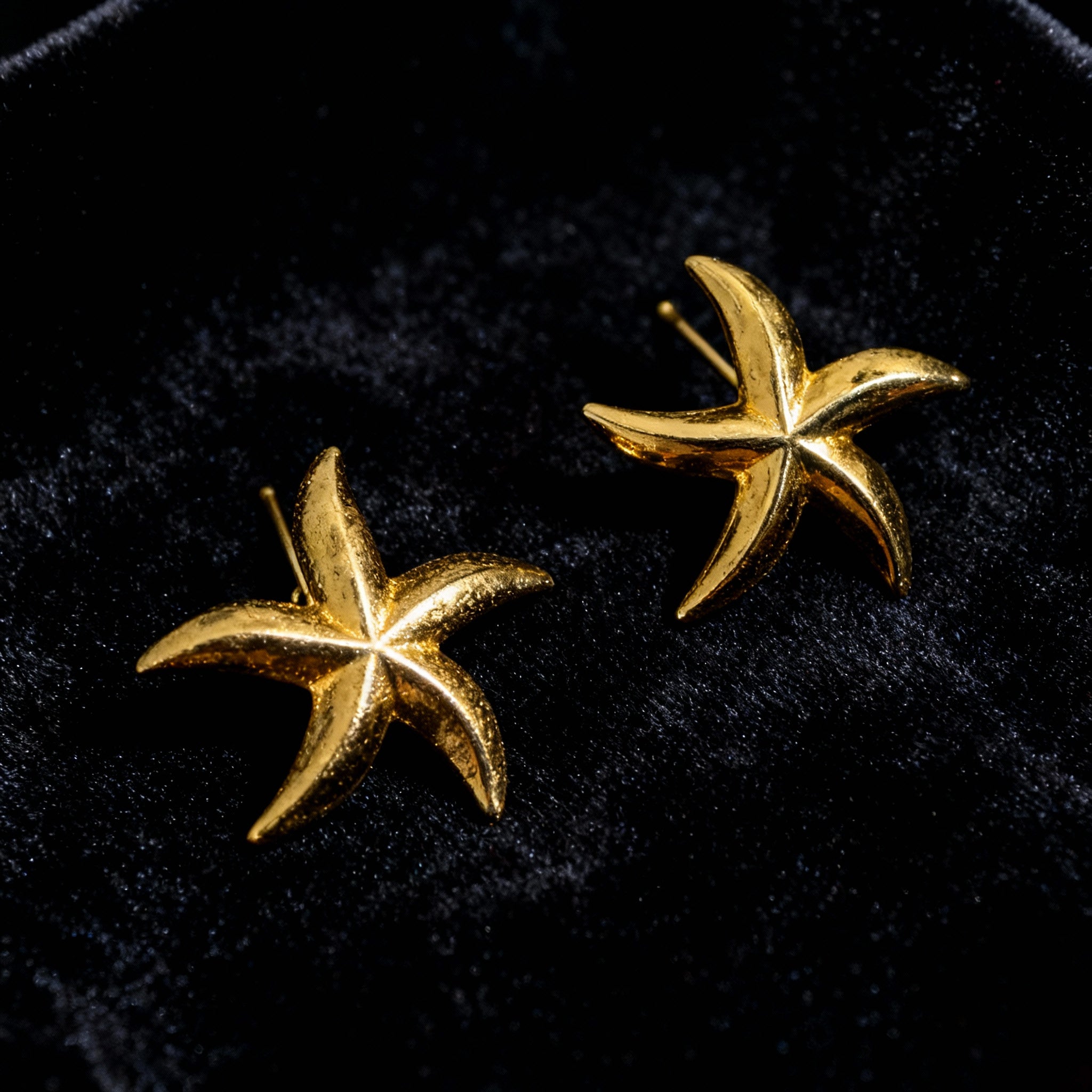 Sea Star Earrings